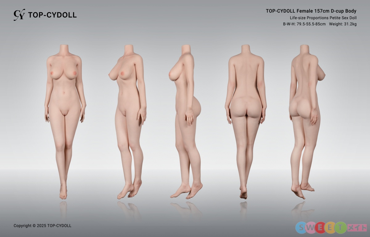 TOP-CYDOLL 157cmDカップ ボディ 三面図