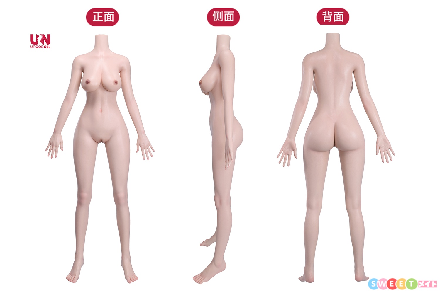 Uneedoll 165cmDカップ フルシリコンドール 三面図