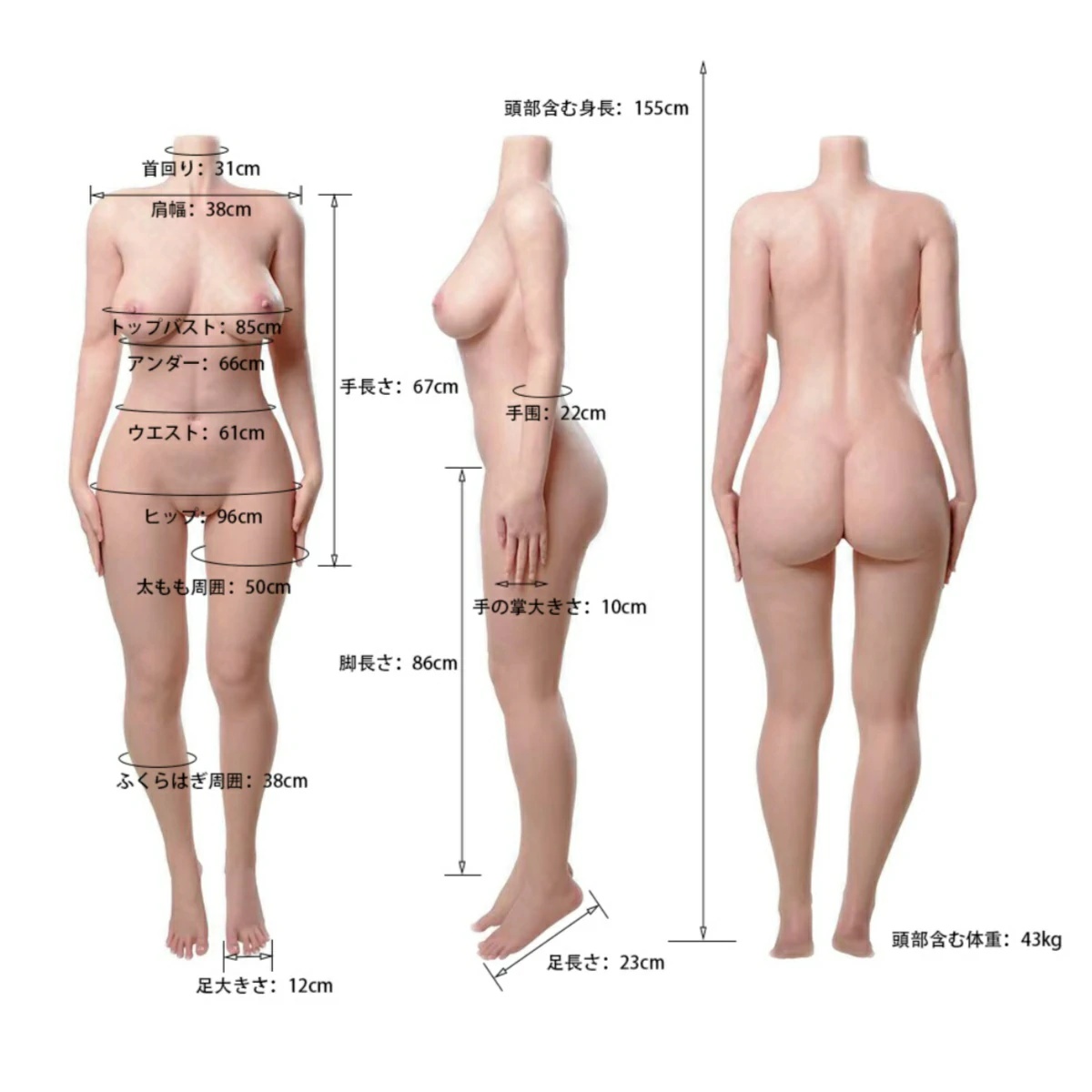 Zucki(ズッキ) 索姬 155cm Eカップ サイズ一覧