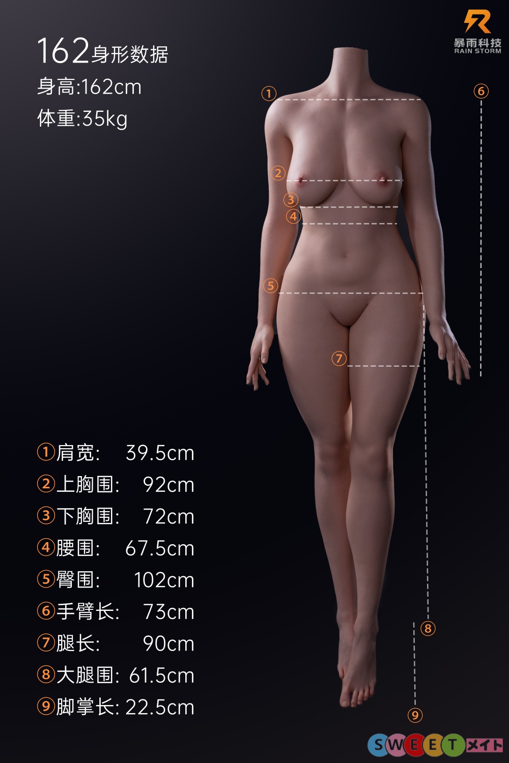 162cm Eカップ ボディサイズ