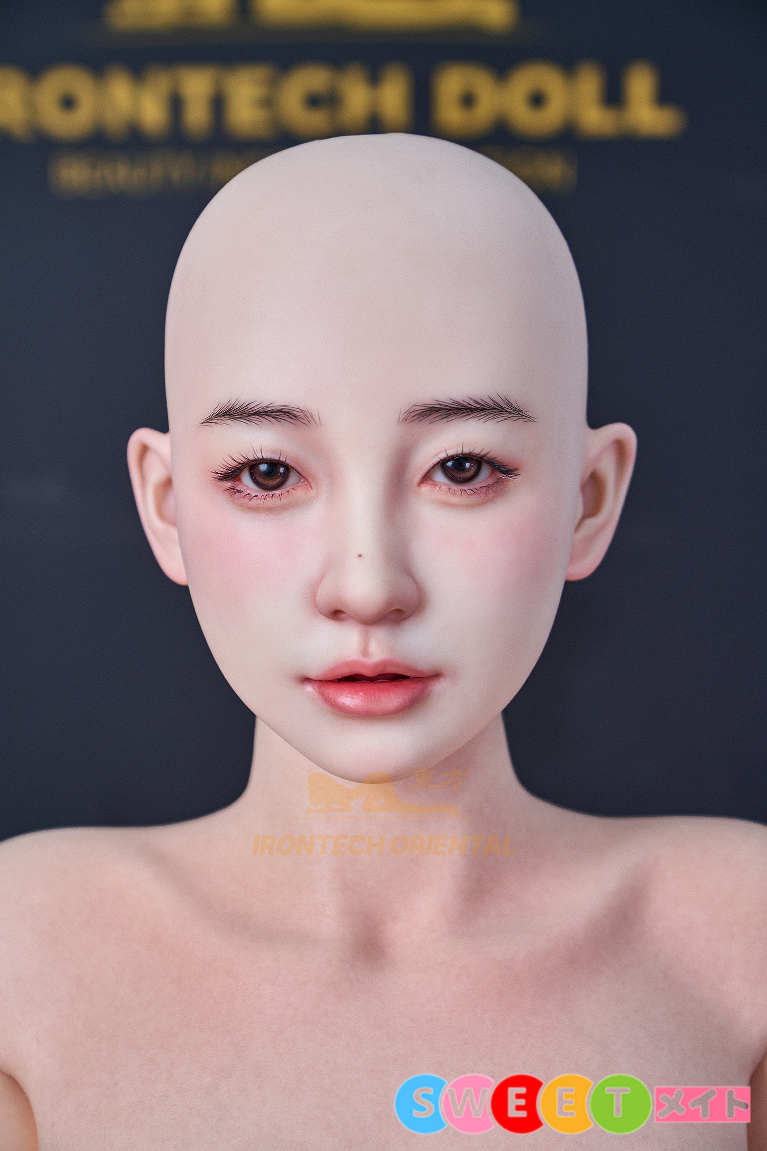 158cm Tタイプ Fカップ A5ヘッド 実物画像02