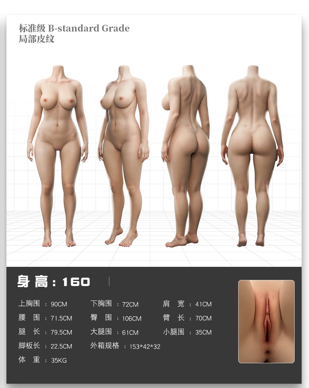 三面図 Doll senior 160cm Eカップ 等身大ドール