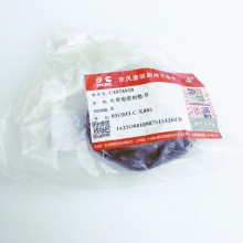 SEAL WATER PUMP 4974918 for QSZ13-G10