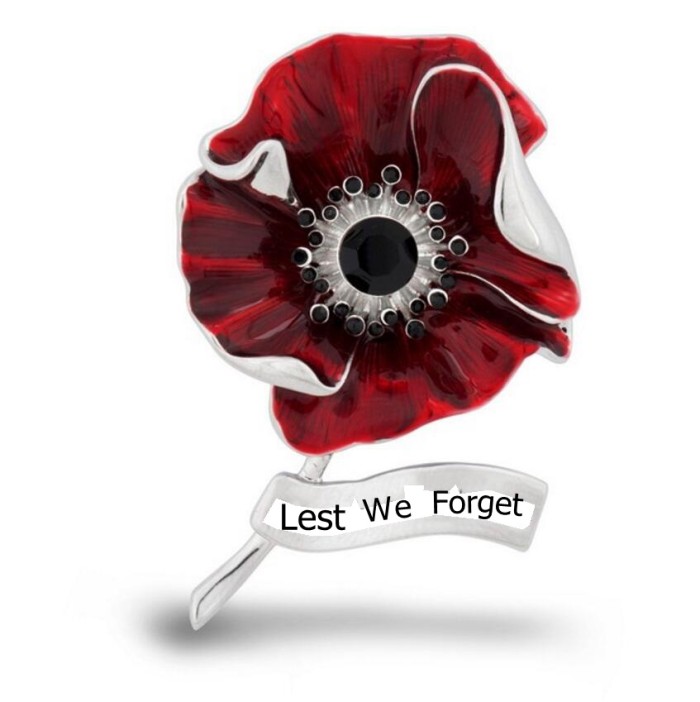 Let's Forget Poppy FLowers Pin