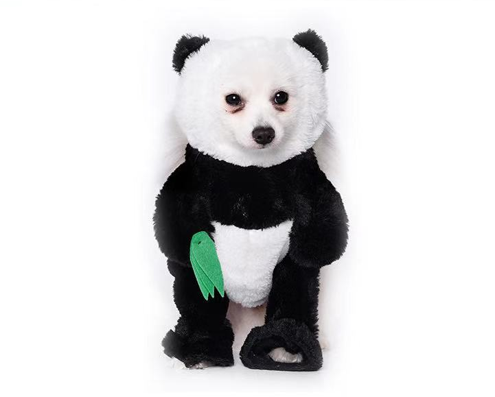 dog panda suit