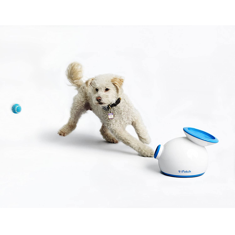 tennis ball shooter for dogs