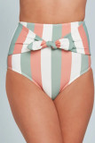 Multicolor Stripes Print Front Tie High Waist Bikini Bottoms
