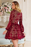 Wine Red V Neck Lace Skater Mini Dress