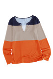 Colorblock Split V Neck Long Sleeve Top