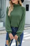 Plain Turtle Neck Tie Sleeves Knit Sweaters
