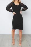 Lace Sheer Sleeves Ribbed Knitting Dress