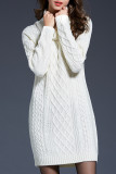 Turtleneck Cable Knitting Sweater Dress
