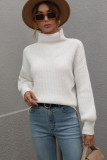 Plain Turtle Neck Pullover Sweaters