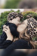 Parent-child Bow Knot Headband Unishe Wholesale MOQ 5pcs