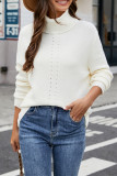 Turtleneck Plain Knitting Pullover Sweater