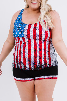 Multicolor American Flag Print Tankini Plus Size Swimwear