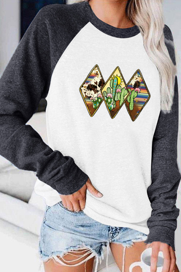 Cactus Serape Cowhide Long Sleeve Top