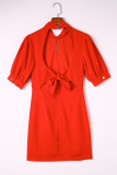 Red High Neck Lantern Sleeves Backless Mini Dress