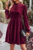 Plain Velvet Long Sleeves Dress
