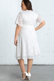 White Scalloped Lace Wrap V Neck Plus Size Dress