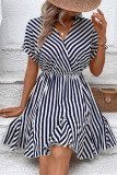 Zebra Stripes Splicing Mini Dress