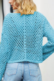 Plain Hollow Out Knit Crop Top