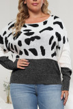 Color Block Leopard Knit Plus Size Sweater