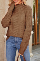 Plain Cable Knit Turtle Neck Sweater