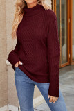 Plain Cable Knit Turtle Neck Sweater