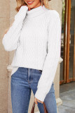 Plain Cable Knit Turtle Neck Sweater