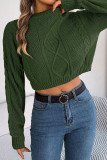 Plain Cable Knit Crop Sweater