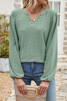 Eyelet V Neck Plain Long Sleeves Top