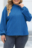 Turtleneck Ribbed Knitting Plus Size Sweater