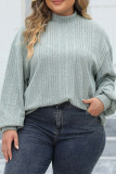 Turtleneck Ribbed Knitting Plus Size Sweater