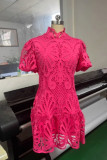 Plain Full Lace Bubble Sleeves Dress