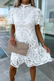 Plain Full Lace Bubble Sleeves Dress