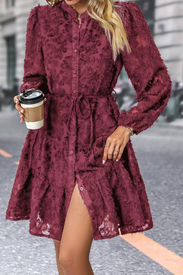 Plain Flocked Button Up Dress With Sash