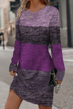 Color Block Crew Neck Long Sleeves Dress