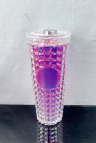 24oz Acrylic Tumbler