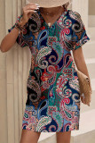 Paisley Print V Neck Dress