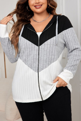 Plus Size Colorblock Zipper Hooded Cardigan