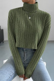 Turtleneck Green Ribbed Knitting Top