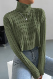 Turtleneck Green Ribbed Knitting Top