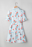 Sky Blue Stripe Floral Pattern Ruffle Short Sleeve Belted Mini Dress