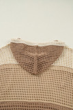 Parchment Colorblock Hollowed Knit Plus Size Hooded Jumper Sweater