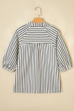 Blue Stripe Floral Embroidered Detail V Neck Short Sleeve Blouse