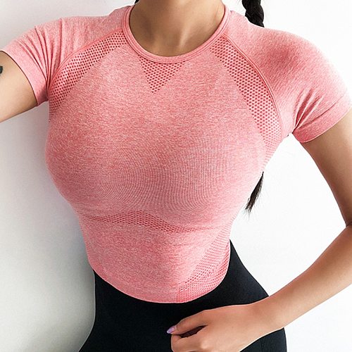 Fitness Quick Dry Women Cropped Seamless Short Sleeve Top Womens Workout Tops Sports Wear for Women Gym Women Sexy T Shirt
