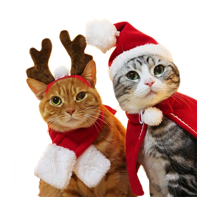 cat christmas outfits uk