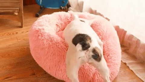 CalmPlush™ Round Pet Bed - Pet So Sweet