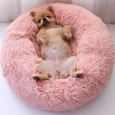 best dog bed for anxiety
